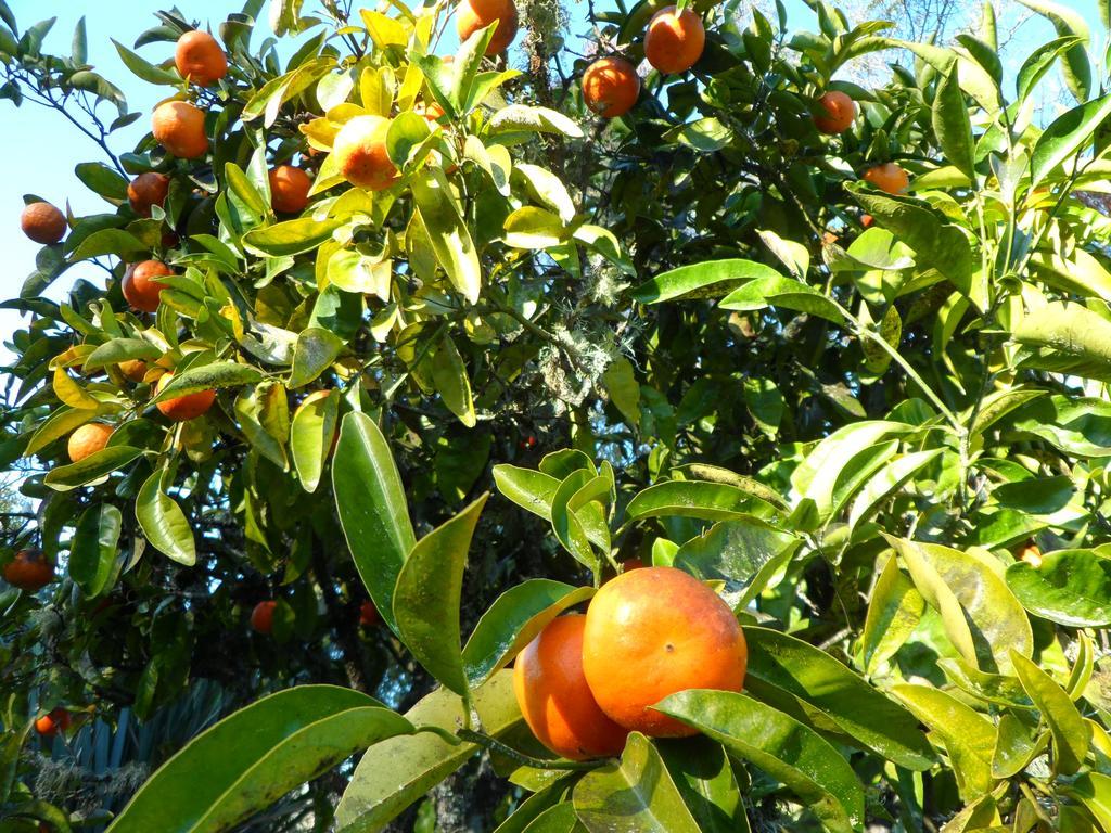 MapuaCorru Gate别墅 外观 照片